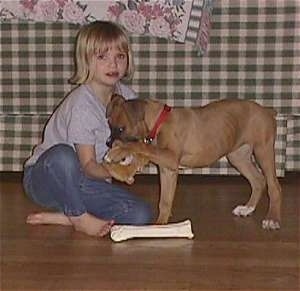 Amie playing with Allie the Boxer Puppy behind a couch