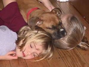 Close Up - Allie the Boxer, Amie and Brittany laying on the floor with their heads all in a pile, Allie is on top