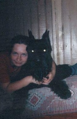 A person is laying next to and hugging a black Giant Schnauzer up on a human's bed.