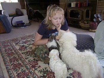 A girl is sitting on a rug and she is making kissy faces at four dogs standing in front of her.