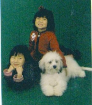 Miniature Littlefield Sheepdog
