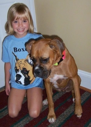 Amie wearing a blue Boxer shirt sitting next to Allie the Boxer on a rug