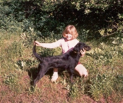 A brown-haired girl is kneeling behind a Leopard Cur dog posing it in a stack outside with woods behind them.