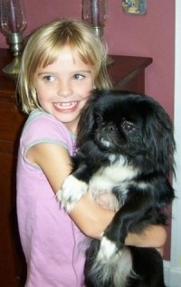 A blonde haired girl is smiling and hugging a black with white Pekingese up in the air in front of a pink wall. They both are looking to the left.