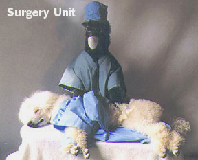 A Black Poodle is wearing a surgical mask and scrubs. He is standing on its hind legs behind a sleeping white poodle on a table. The words 'Surgery Unit' are overlayed