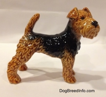 The left side of a black and brown Vintage Airedale Terrier dog West Germany Goebel figurine that is standing in a stack show dog pose.