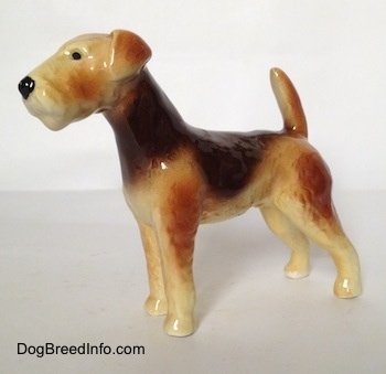 The left side of a black and tan with white Vintage Goebel Airedale Terrier porcelain dog figurine with a darker and lighter tan mixed in.