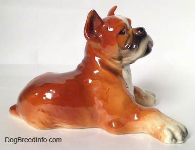 The right side of a fawn and white with black Boxer dog figurine in a laying pose. 