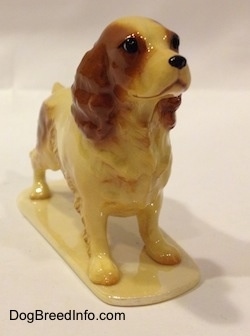 The front right side of a tan with brown ceramic Cocker Spaniel figurine. The eyes on the figurine are very expressive. It has a black nose and a shiny glaze.