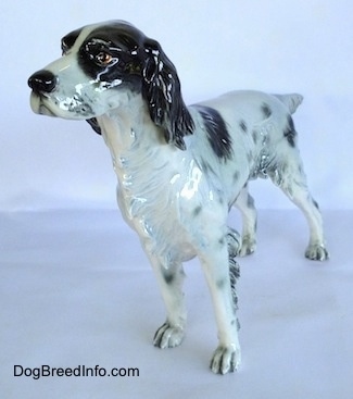 The front left side of a black and white English Setter figurine that is in a standing pose. The figurine has black ears.