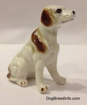 The front right side of a bone china white with brown English Setter figurine. The figurine has long legs and small paws.