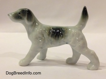 The left side of a black and white English Setter bone china figurine. The figurine has tiny black circles for eyes and its tail is in the air.