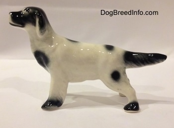 The left side of a white and black ceramic English Setter in a standing pose figurine. The tail of the figurine has its medium sized tail level with its body.