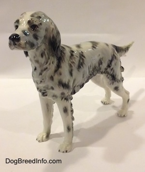 The front left side of a porcelain white and black English Setter figurine. The figurine has black spots and streaks painted on it.