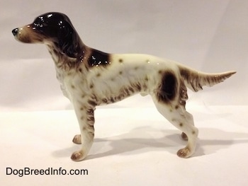 The left side of white with brown English Setter in a standing pose figurine. The figurines tail is level with its body.
