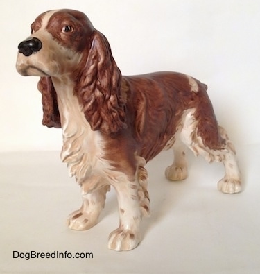 The front left side of a brown and white English Springer Spaniel in a standing pose figurine. The chest of the figurine has great hair details.