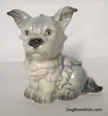 The front left side of a hairy French Bull Tzu figurine. The figurine has black circles for eyes.