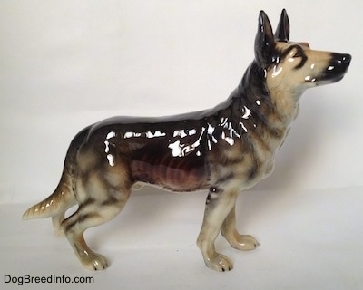 The right side of a grey with black German Shepherd Dog figurine. The figurine is glossy.