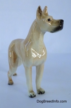 The front right side of a tan Great Dane figurine. The figurine has perked up ears and it has black on the inside of its ears.