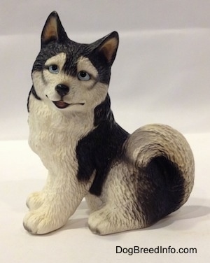 The left side of a black and white Husky figurine in a sitting position. The figurine has its mouth slightly open and it is looking forward. The dog's eyes are blue, nose is black and it has small perk ears. The fluffy tail is curled up over its back.