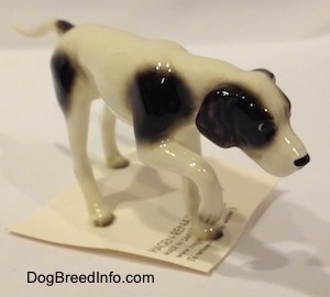 The front right side of a white with black spotted figurine of a Pointer in a pointing pose. The figurine has long legs.
