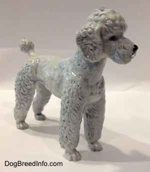 The front right side of a porcelain white with blue Poodle figurine standing. The figurine has tiny detailed paws.