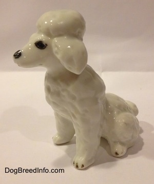 The front left side of a Poodle figurine made out of bone china and it is in a seated position. The figurine has black circles for eyes and a black circle for a nose.