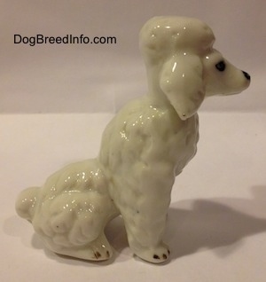 The right side of a bone china Poodle figurine in a sitting position. The figurine has a hair poof on its head.
