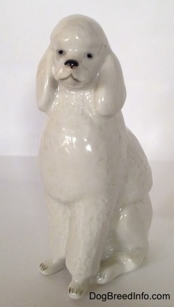The front right side of a white standard Poodle sitting porcelain figurine. The figurine has black circle for eyes.