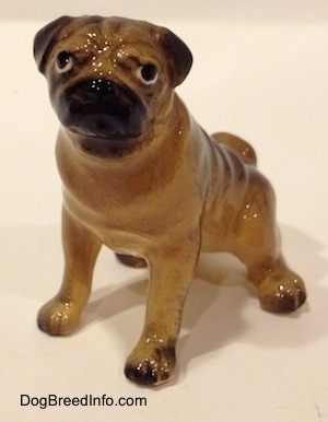 The front left side of a miniature Pug seated figurine.The figurine has short legs and small paws.