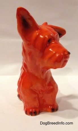 An orange miniature Schnauzer sitting figurine. The figurine has black tipped nails.