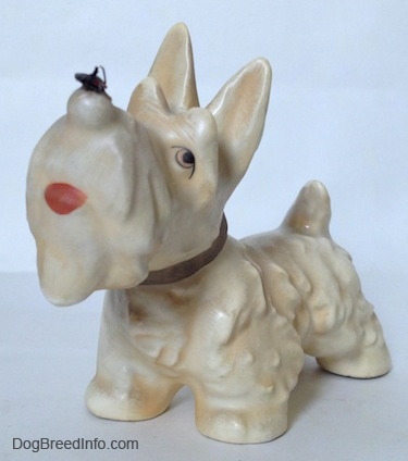 The front left side of a white with cream figurine of a Scottish Terrier with a fly on its nose. The figurine has tan circles with black circles inside of it for eyes.
