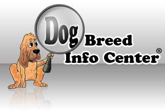 Dog Breed Info Center(R) DBIC