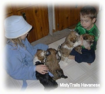 A girl and a boy are sitting crosslegged on a tiled floor and their are puppies sitting in each kids laps.