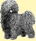 An animated image of a black dreaded Puli that is looking left and right with its mouth open.