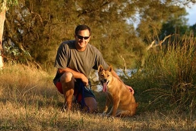 Lindy the Dingo with her mouth open and long tongue hanging out is sitting next to a man wearing sunglasses in a field