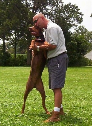 Boomer the Doberman Pinscher is standing on its hind legs with his front paws on the man named Joe who is embracing the dog.