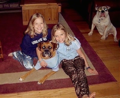 Two young girls are hugging Allie the Boxer who is wearing a light blue shirt and two purple and blue beaded necklaces. Spike the Bulldog is sitting near a staircase in the background watching
