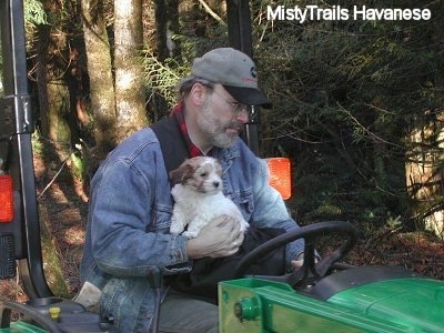 A man in a gray hat is holding a white with tan Havanese puppy and riding a John Deere tractor.