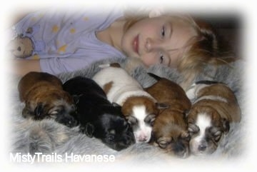 A blonde-haired girl is laying behind five little puppies on a rug.