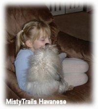A blonde-haired girl is sitting in a chair and a white fluffy dog is licking her face.
