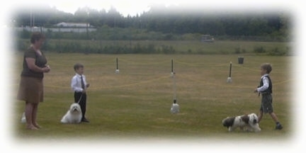 A boy in shorts is walking a white with brown dog across a field. He is walking towards a boy that is standing next to a sitting white fluffy dog and to the left of it is a lady standing in the grass.