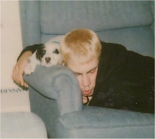 A white and black with brown Llewellin Setter puppy is laying next to a person sleeping on a blue couch.