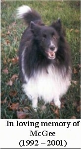 A black with white dog is standing in grass. Its mouth is open. Under the image there is a block of white with text on it. The text reads - In loving memory of McGee (1992 - 2001)