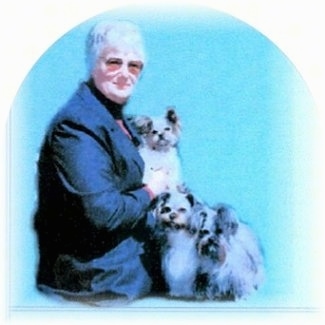 A gray shorthaired lady sitting with three Mi-ki dogs, two next to her lap and one on her lap.