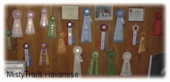 A wood panel wall that is filled with ribbons.