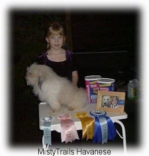 A blonde-haired girl is standing behind a tan dog that is sitting on a table. The table also has a photo, four ribbons and two boxes of dog food on it.