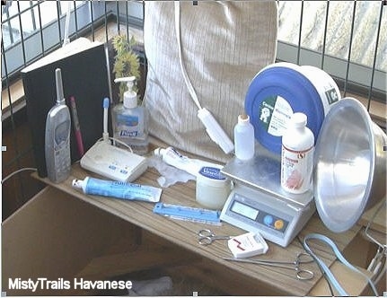 Whelping Supplies - Notebook , puppy weights,  pen, telephone, baby monitor, hand sanitizer, NutriCal, K-Y jelly and rubber gloves, heating pad, Vaseline and thermometer, scale, Mamalac and bottle, alcohol, scissors, floss and hemostats, ribbon and a heat lamp on top of a wooden table.