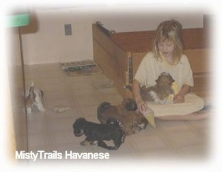 A girl is sitting cross legged leaning against a wooden whelping box and a puppy is sitting in her lap.