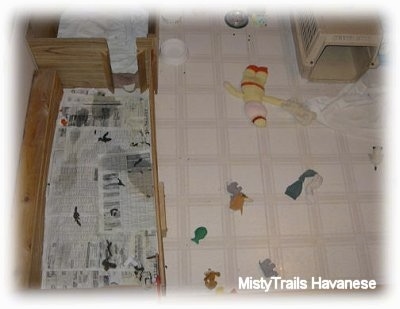 Top down view of a Whelping box with a potty area and toys and a crate in the play area.